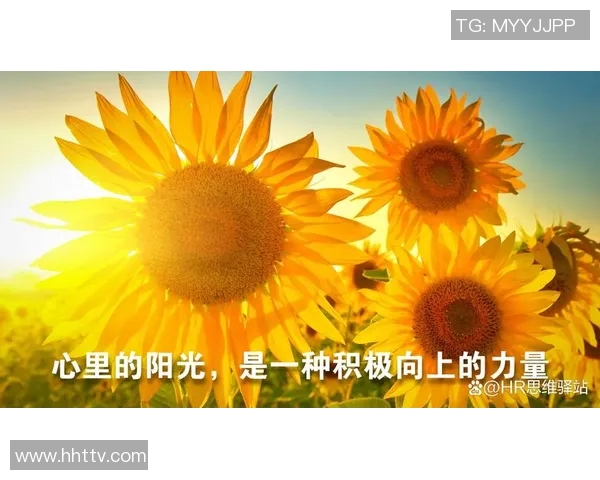 在纷繁复杂的生活中如何优雅地回到原来的位置与初心